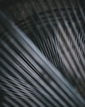 金属