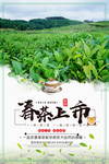 绿色清新春茶上市宣传海报