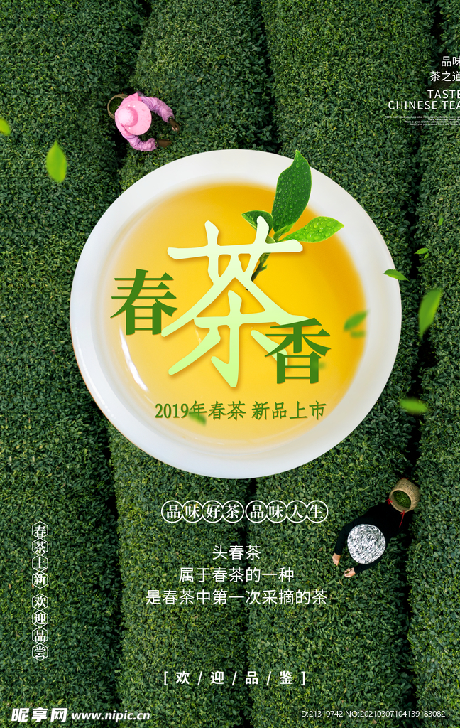 创意春茶宣传海报