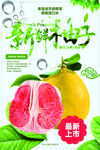 新鲜柚子