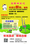 奶吧单页