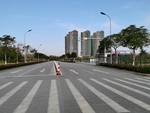 马路