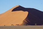 沙漠