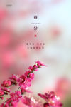 春分