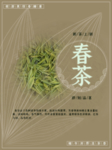 简约风春茶宣传海报
