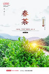 春茶