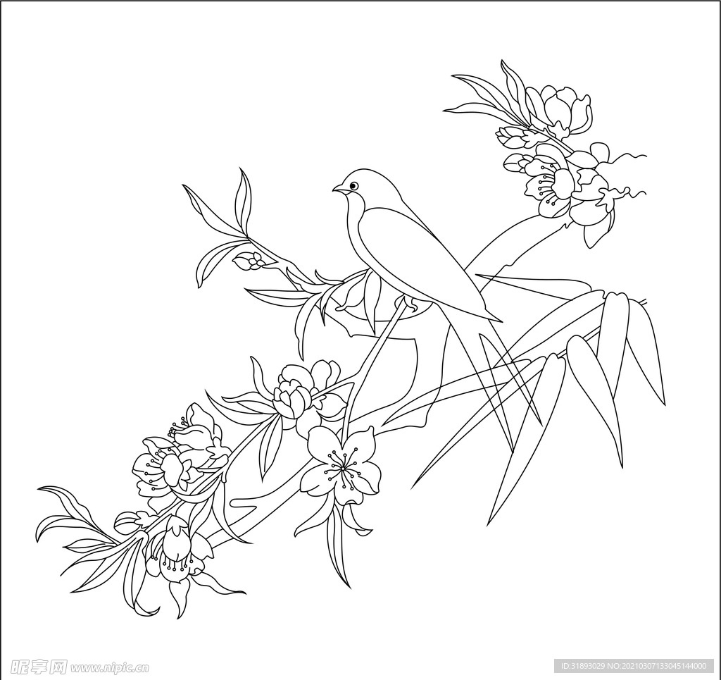 花 枝条  线条  线稿 白描
