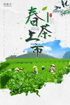 新茶上市