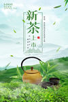 新茶上市