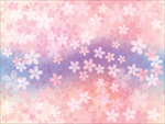 樱花花纹