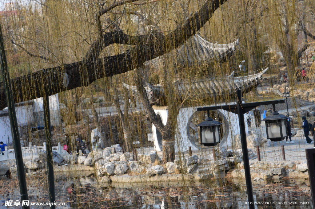 初春风景