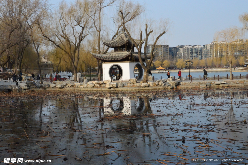 园林风景