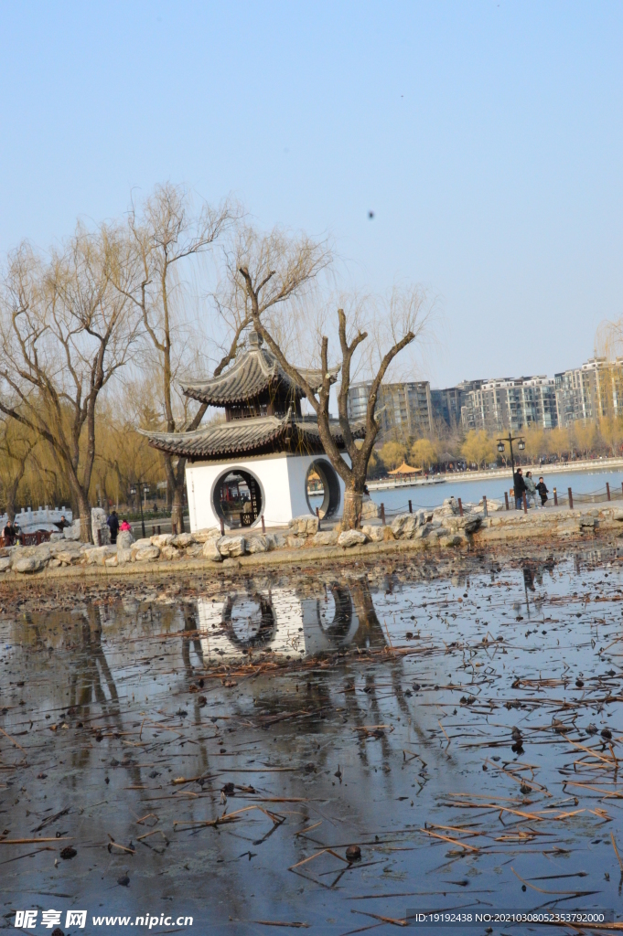 初春风景