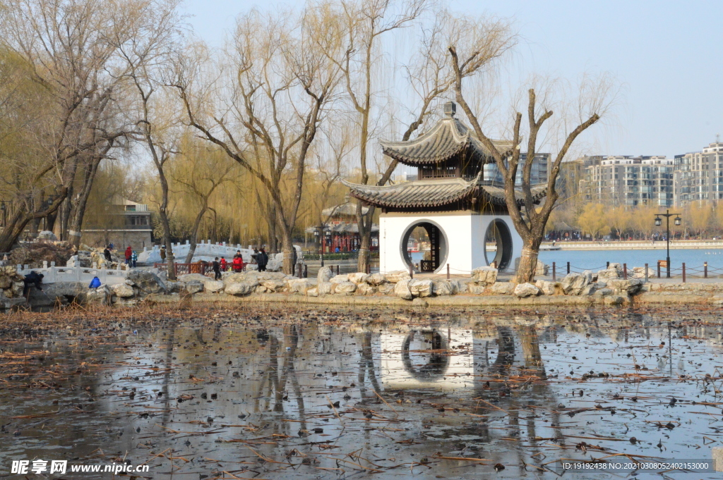 初春风景
