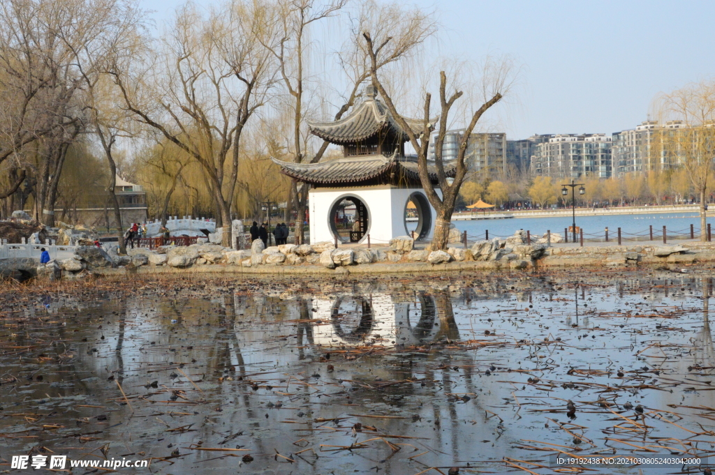 初春风景