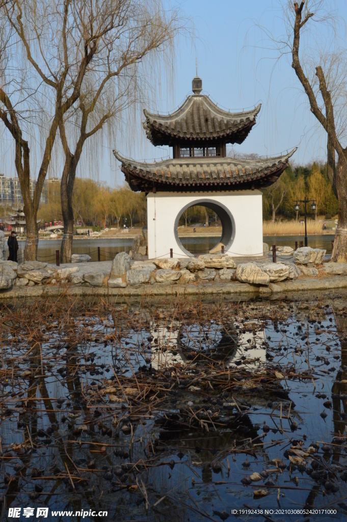 初春风景