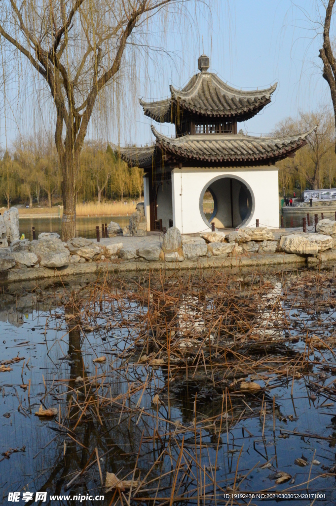 初春风景