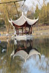 初春风景