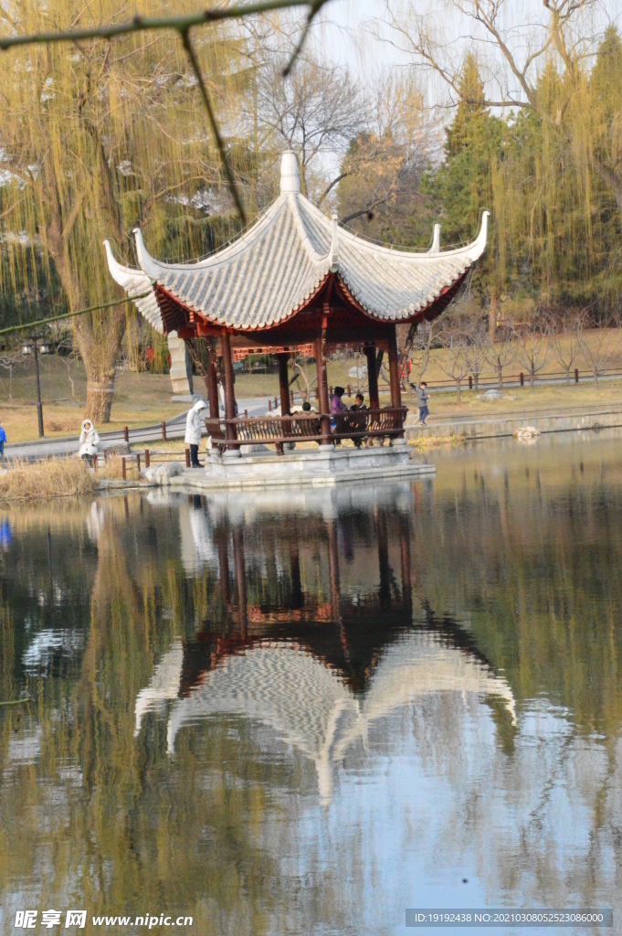 初春风景