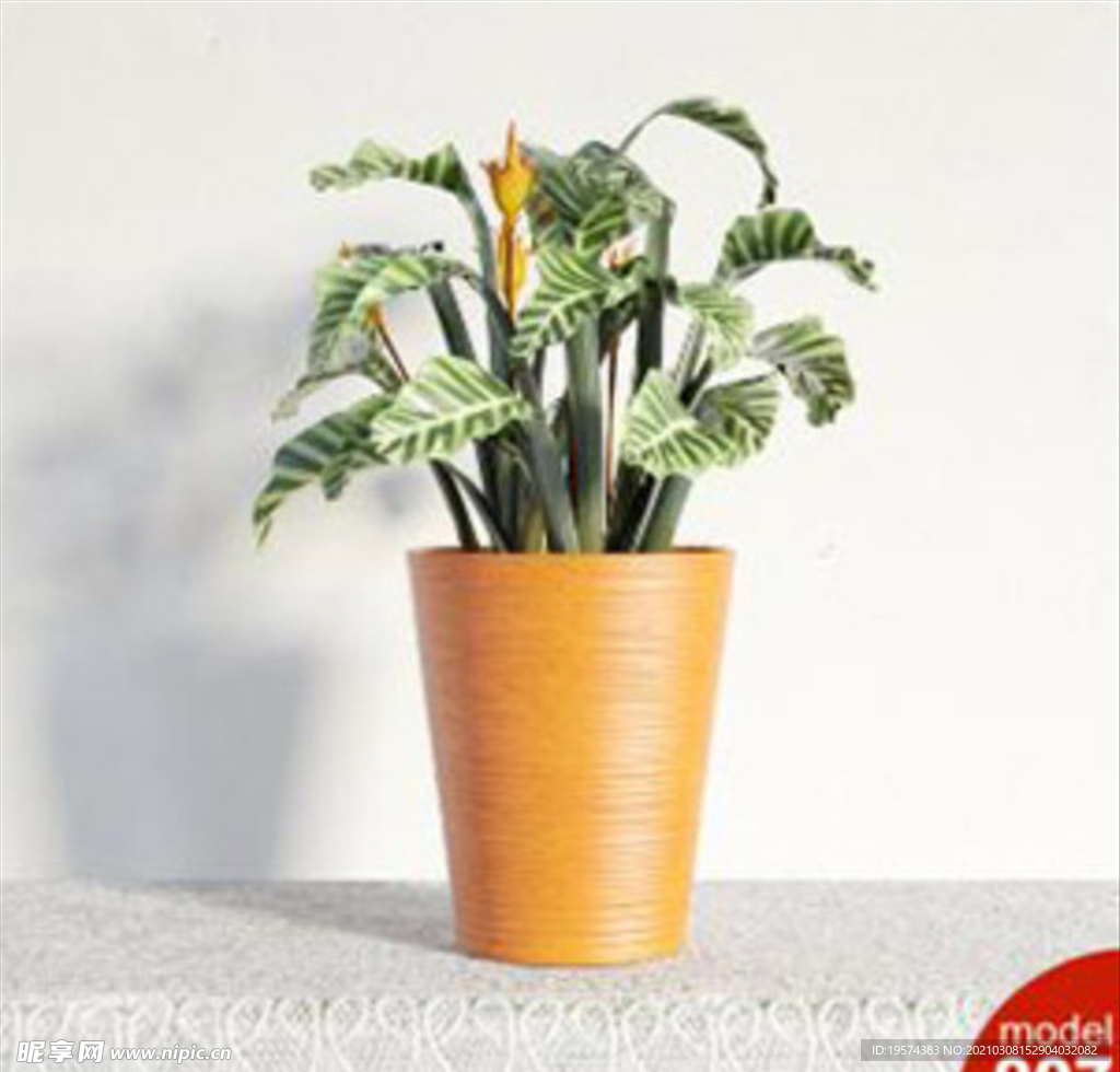 3DMAX模型植物花卉景观