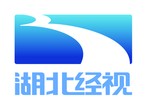 湖北经视logo