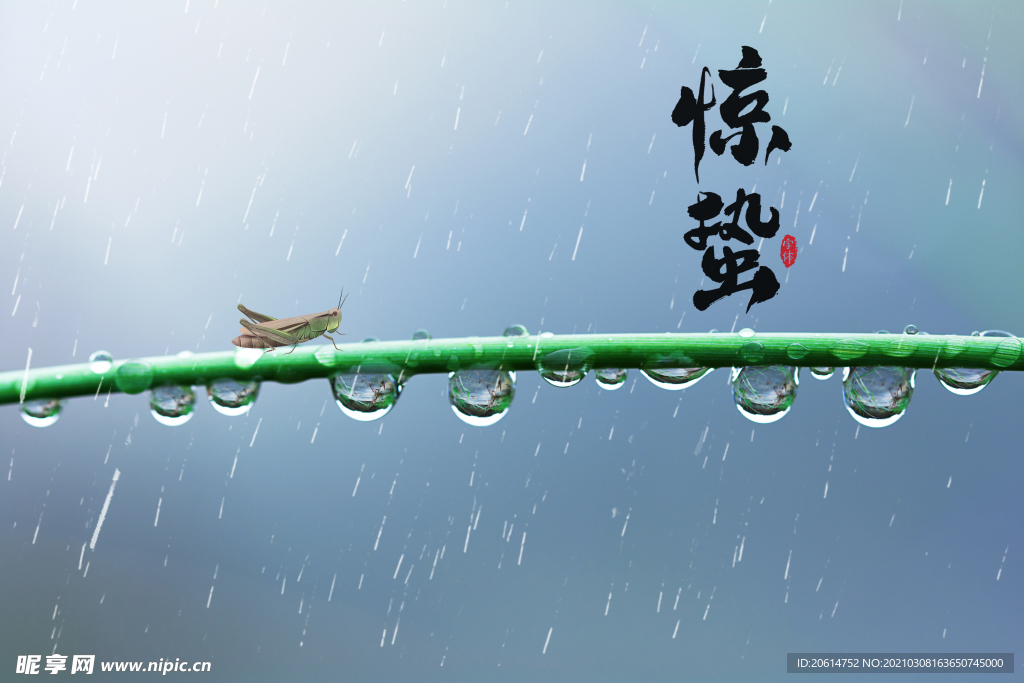 惊蛰节日海报