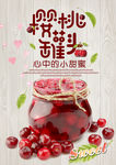 樱桃海报
