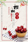 樱桃海报