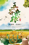 五谷杂粮海报 五谷杂粮 杂粮店