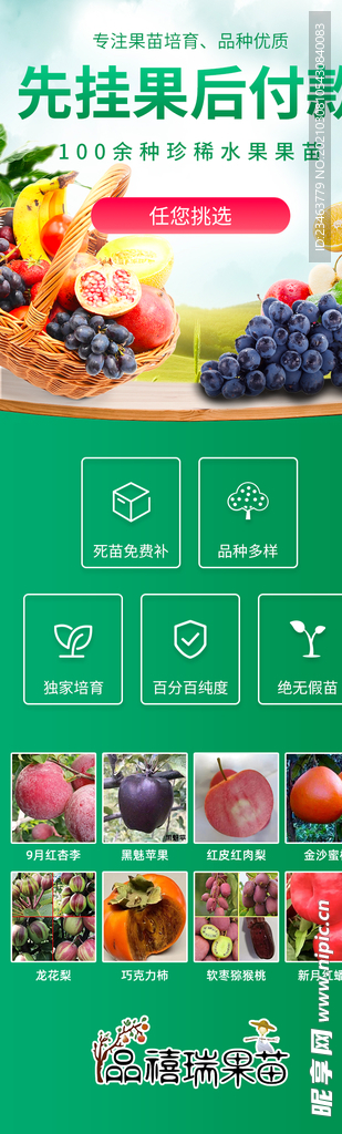 水果