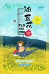 油菜花