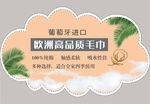 异形云朵毛巾KT板