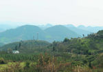 山