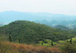 山