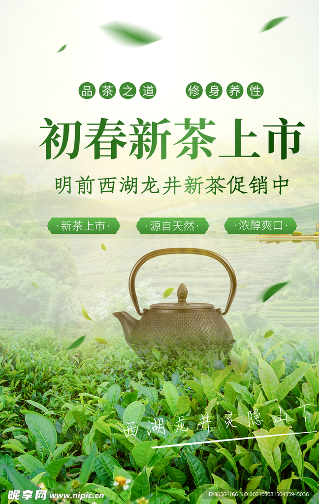 初春新茶茶叶促销宣传海报素材