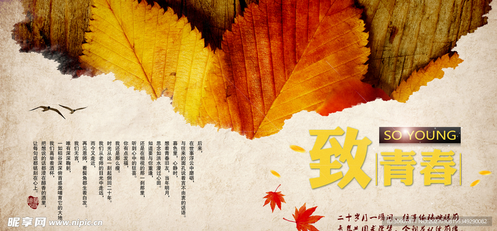青春手册