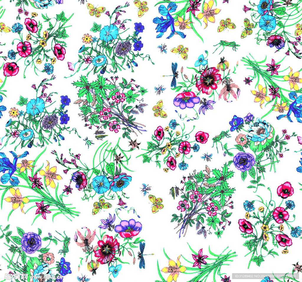 牵牛花