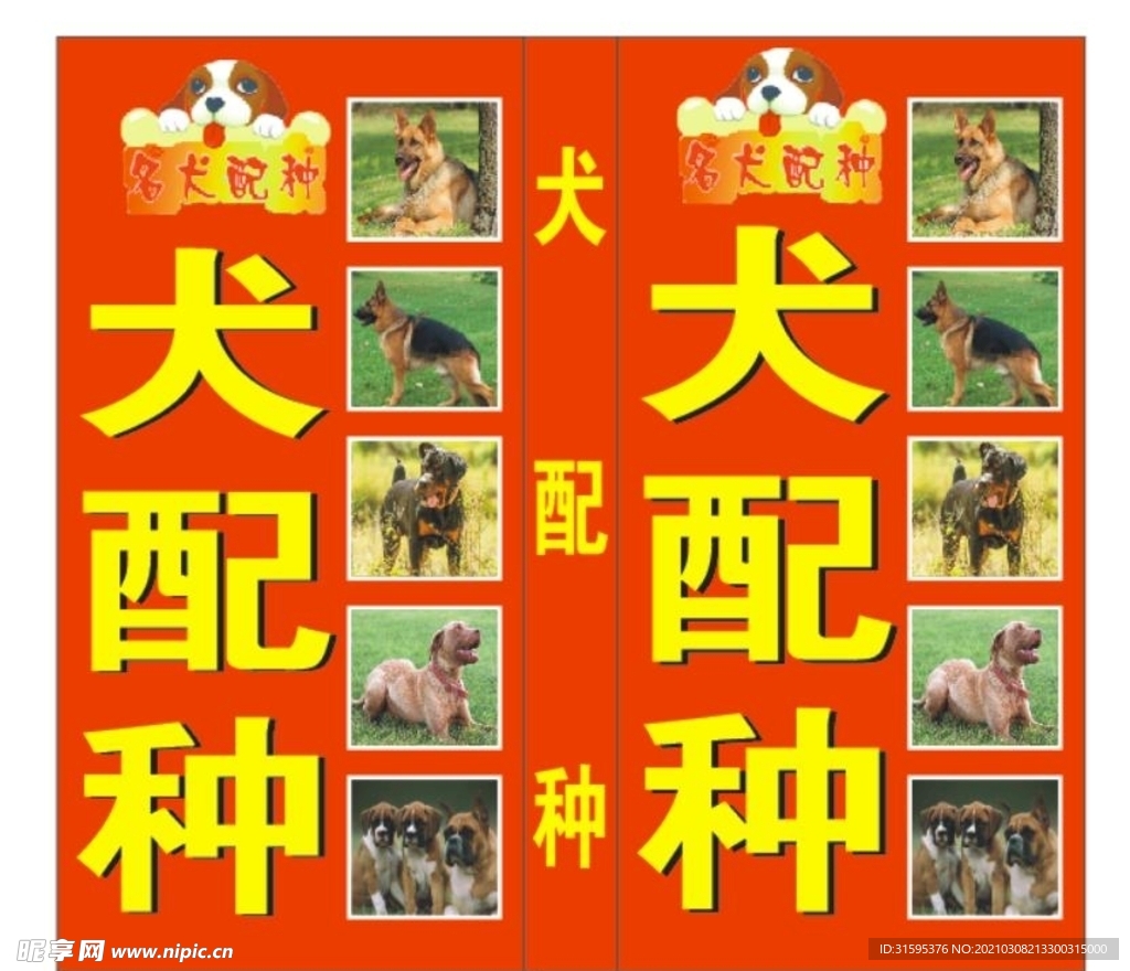 名犬配种