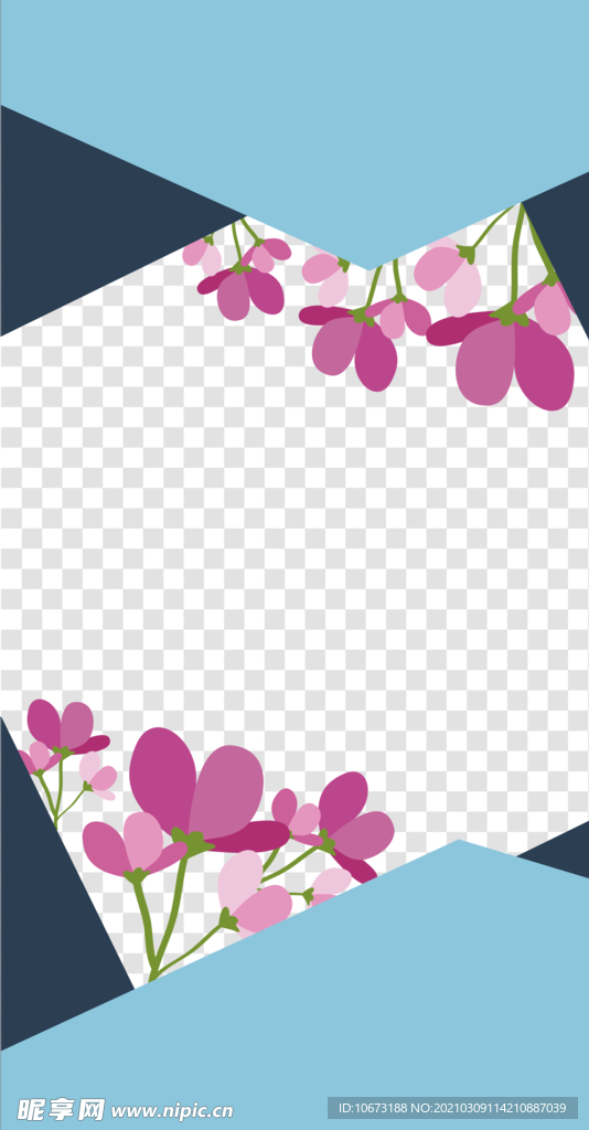 植物海报
