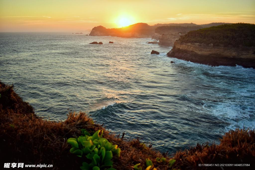 海岸