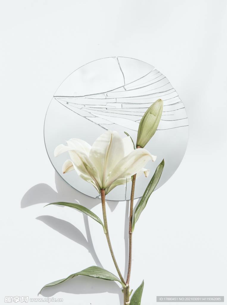 花卉