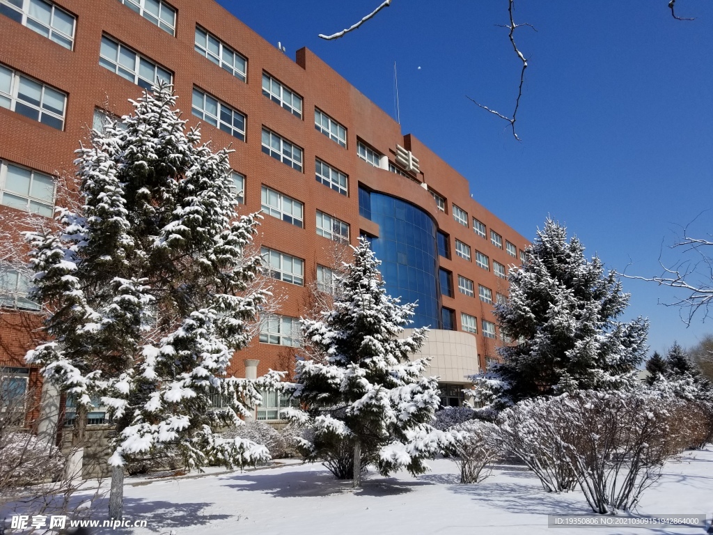 沈阳师范大学汇文楼雪景