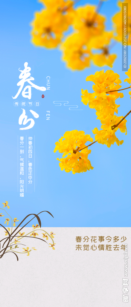 春分
