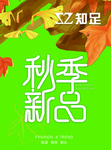秋季新品