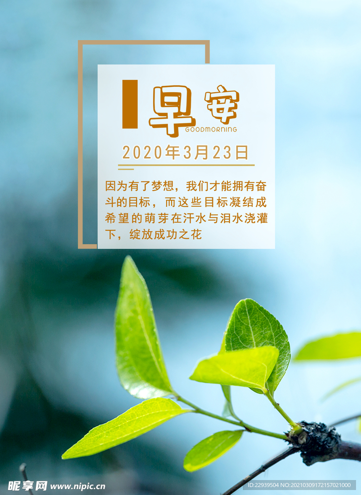 早安