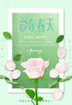 春天海报