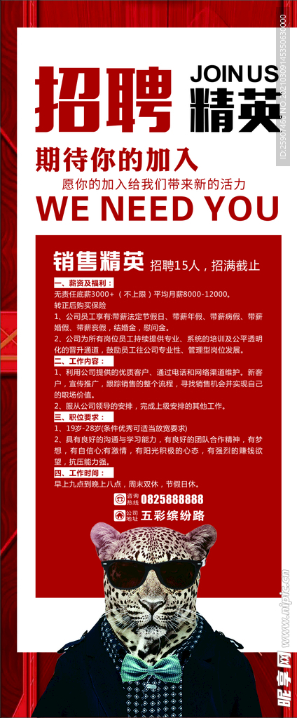 招聘精英