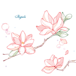 木兰花线稿