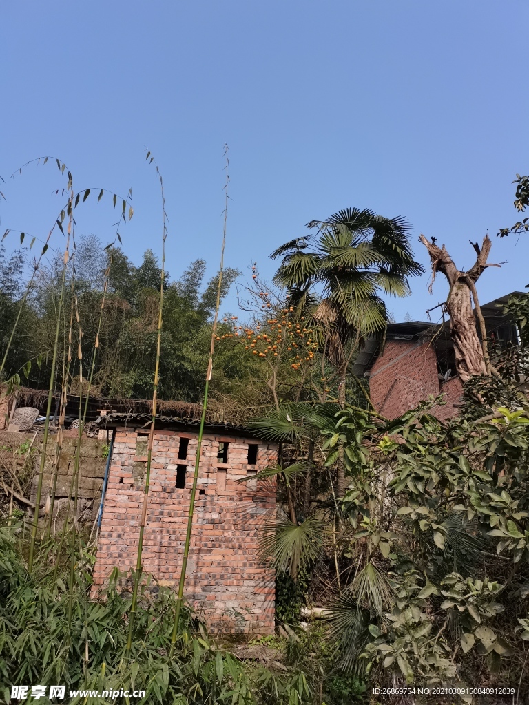 乡村风景