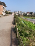 乡村风景